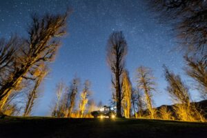 Car parked under a star-filled sky in a forest campsite. Ideal for adventure seekers.