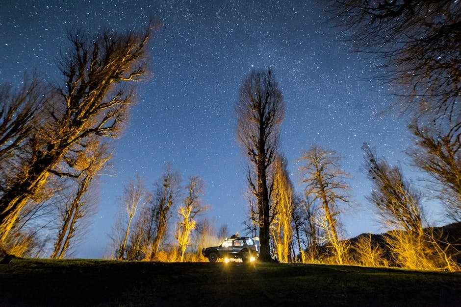 Car parked under a star-filled sky in a forest campsite. Ideal for adventure seekers.