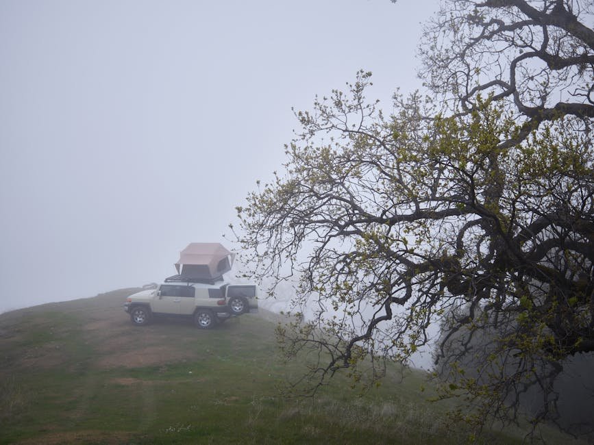 Misty camping scene with rooftop tent on vehicle in a fog-covered hillside, California.